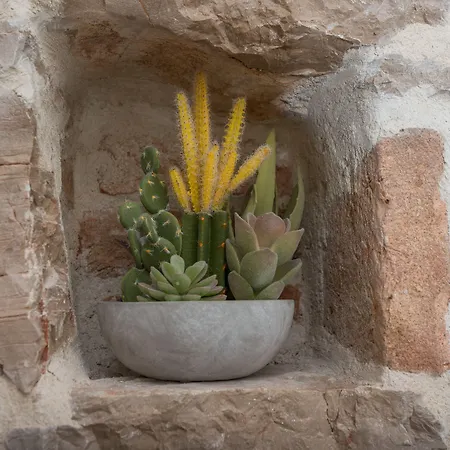 게스트하우스 자라 팰리스 - 디자인 룸