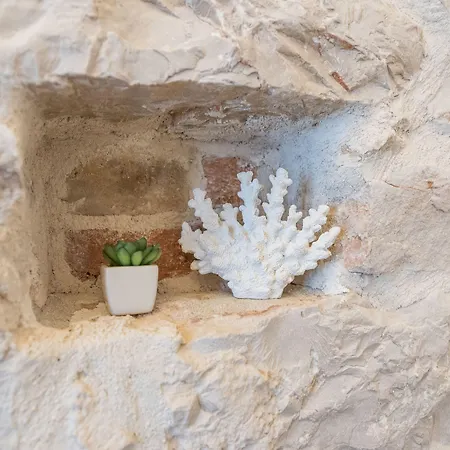 자라 팰리스 - 디자인 룸 게스트하우스