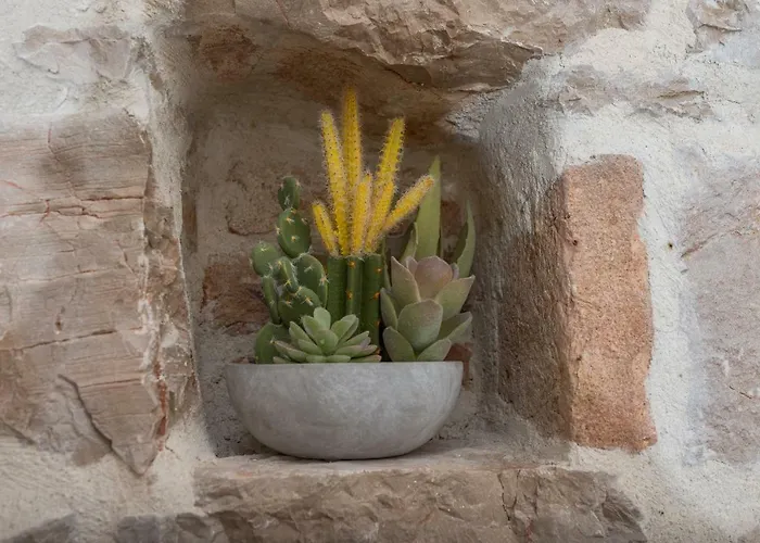 Palace - Design Guest house